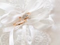 Wedding rings Royalty Free Stock Photo