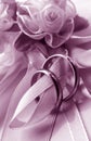 Wedding rings Royalty Free Stock Photo