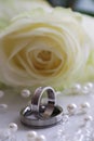 Wedding rings Royalty Free Stock Photo
