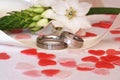 Wedding rings Royalty Free Stock Photo
