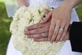 Wedding rings Royalty Free Stock Photo