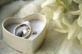 Wedding rings Royalty Free Stock Photo