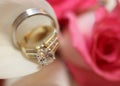 Wedding rings Royalty Free Stock Photo