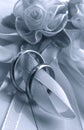 Wedding rings Royalty Free Stock Photo