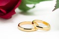 Wedding rings and artificial rose on white background Royalty Free Stock Photo