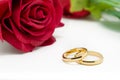 Wedding rings and artificial rose on white background Royalty Free Stock Photo