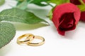 Wedding rings and artificial rose on white background Royalty Free Stock Photo