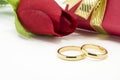 Wedding rings and artificial rose on white background Royalty Free Stock Photo