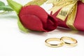 Wedding rings and artificial rose on white background Royalty Free Stock Photo