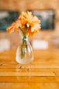 Wedding rings on a background of gerbera flower vases. Wedding j Royalty Free Stock Photo