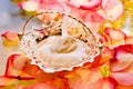 Wedding rings in a basket Royalty Free Stock Photo