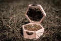 Wedding rings in beautiful wooden box with moss, love is everything, wedding day Royalty Free Stock Photo