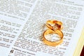 Wedding rings on Bible