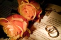 Wedding rings on a bible with the Genesis text Royalty Free Stock Photo