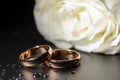Wedding rings black background white rose drops Royalty Free Stock Photo