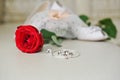 Wedding rings in black box and rose Royalty Free Stock Photo