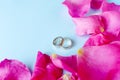 Wedding rings on blue background with flowers roses, copy space. love, marriage Royalty Free Stock Photo