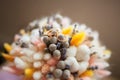 Wedding rings on bouquet of dry flowers Royalty Free Stock Photo