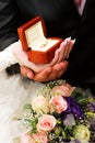 Wedding rings in a box Royalty Free Stock Photo