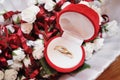 Wedding rings in a box Royalty Free Stock Photo