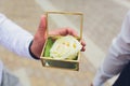 Wedding rings in the box and a bouquet of the bride in hand. Royalty Free Stock Photo