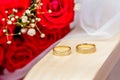 Wedding rings of bride and groom Royalty Free Stock Photo