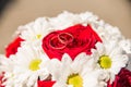 Wedding rings are on the bride`s bouquet. Wedding bouquet of white daisies and red roses. Wedding background for cards and Royalty Free Stock Photo