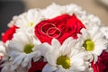 Wedding rings are on the bride`s bouquet. Wedding bouquet of white daisies and red roses. Wedding background for cards and Royalty Free Stock Photo