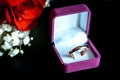 Wedding rings in the case for rings with red rose. Marriage and wedding concept image.