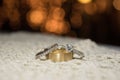 Wedding rings Royalty Free Stock Photo