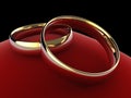 Wedding rings on cushion (eternity engraved)