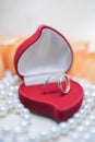 Wedding rings with diamonds in a gift box Royalty Free Stock Photo