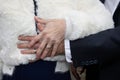 wedding rings fingers on couple marriage bride groom hands on white winter vest dress background Royalty Free Stock Photo