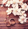 Wedding rings. Flowering branch flowers on wooden surface. Royalty Free Stock Photo