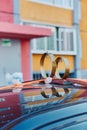 Wedding rings, flowers and ribbon on the roof of the car on the background of city buildings Royalty Free Stock Photo