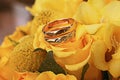 Wedding rings Royalty Free Stock Photo