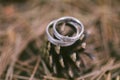 wedding rings in forest with blury background Royalty Free Stock Photo