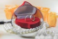 Wedding rings in a gift box under a magnifying glass Royalty Free Stock Photo