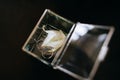 Wedding rings in a glass box with white glowers Royalty Free Stock Photo