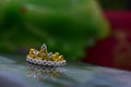 Wedding rings are gold decorated with genuine diamonds. Royalty Free Stock Photo