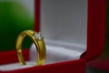 Wedding rings are gold decorated with genuine diamonds. Royalty Free Stock Photo