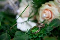 Wedding rings on green leaf Royalty Free Stock Photo