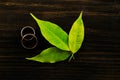 Wedding rings with green leaf on vintage wooden background. Royalty Free Stock Photo