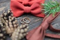 Wedding rings on the groom tie Royalty Free Stock Photo