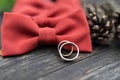 Wedding rings on the groom tie Royalty Free Stock Photo