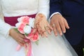 Bride groom hand in hand with rings
