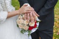 Wedding rings on hands of bride and groom Royalty Free Stock Photo