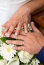 Wedding rings and hands bride and groom on flowers bouquet Royalty Free Stock Photo