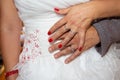 Wedding rings and hands bride and groom in love Royalty Free Stock Photo
