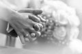 The wedding rings. Hands of the bride and groom with wedding rings Royalty Free Stock Photo